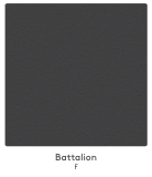 battalion