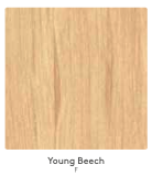 young-beech